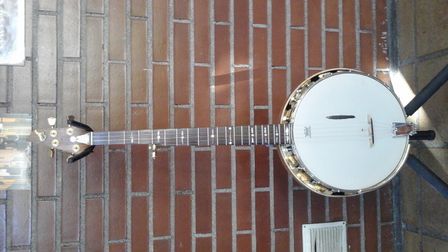 Banjo 5 cuerdas #1