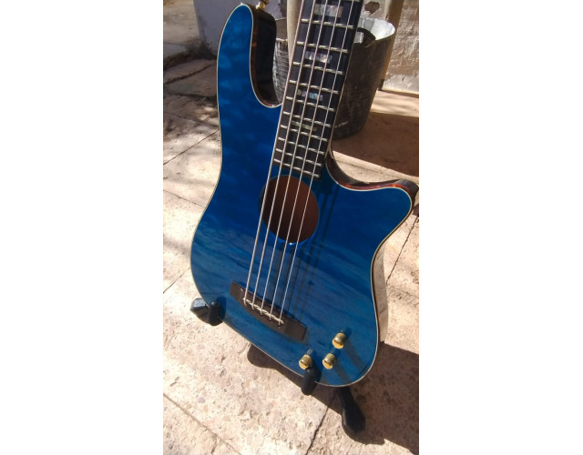 Carvin Ac50 electroacústico
