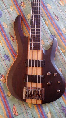 LTD ESP B5