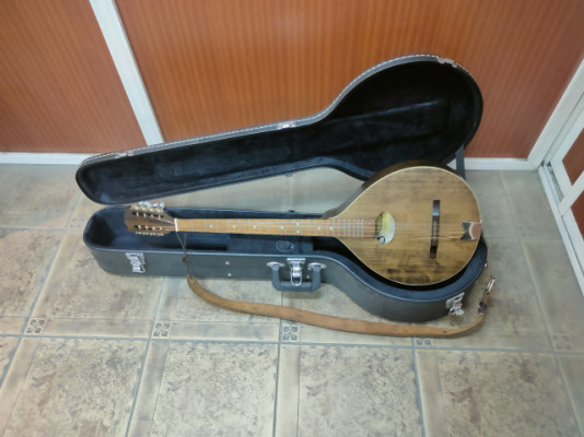 Bouzouki Irish electrificado con estuche rígido ¡¡RESERVADO!!