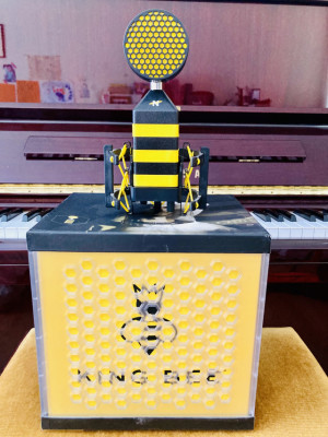 Micrófono Condensador NEAT KING BEE