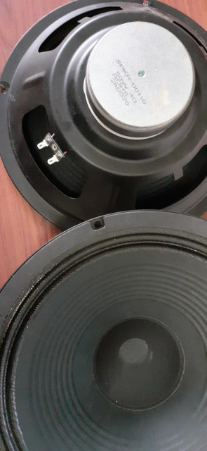 Altavoces 12" 20/25w 4ohmios