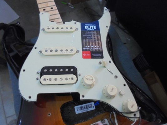 Golpeador completo Fender Stratocaster Elite