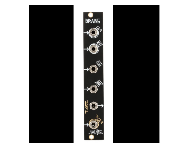 MAKE NOISE BRAINS