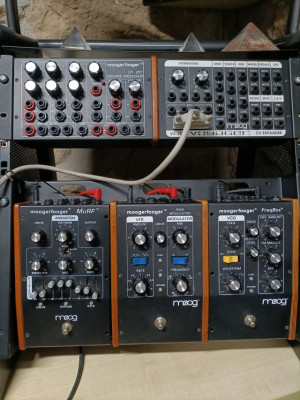 Pack Moog Voyager + moogerfoogers (acepto cambios)