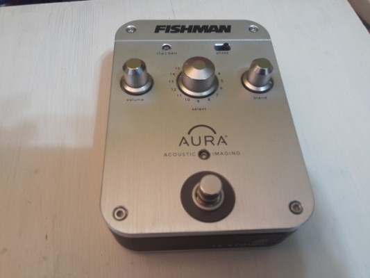 Fishman Aura Acoustic imaging 12 str