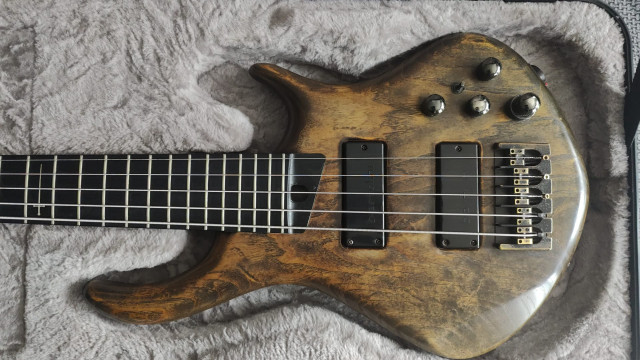 Warrior Dran Michael 5 cuerdas - Custom Shop USA (Certificado Original)