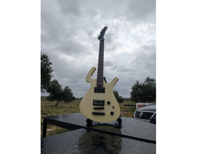 Guitarra eléctrica estilo Parker (posible cambio por acústica 12 cuerdas)
