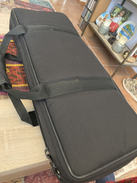 Bolsa, estuche para Virus desk top