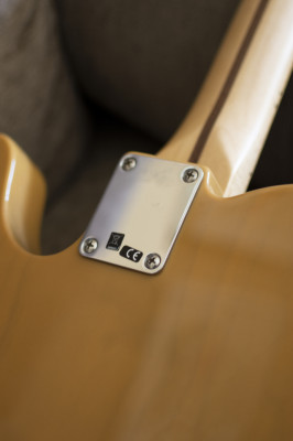 Fender Telecaster Standard MEX