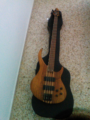 o vendo bajo Peavey y ampli Laney