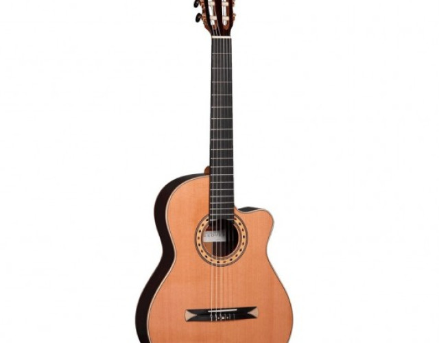Guitarra Alhambra CS-3 CW E8
