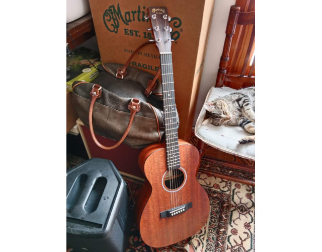 Cambio Martin X Series con previo Fishman por Taylor Academy o similar