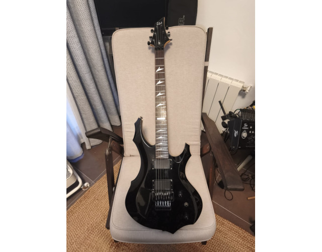 ESP LTD F-200 (2006) – Estilo extremo, perfecta para metal / hard rock