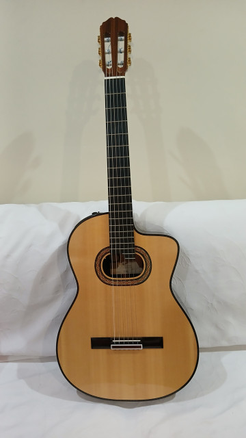 Takamine TH-90 Hirade.