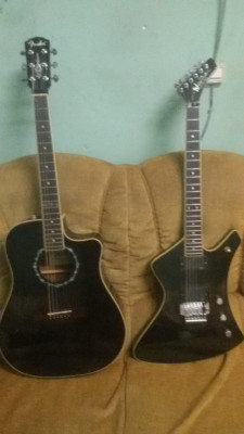 Fender/ Washburn