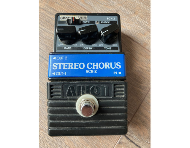 Arion Chorus EWS Landau Chorus