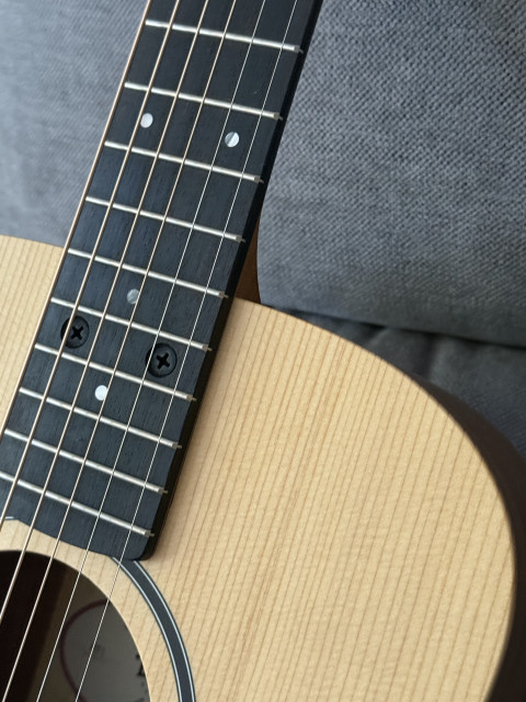Taylor BT1