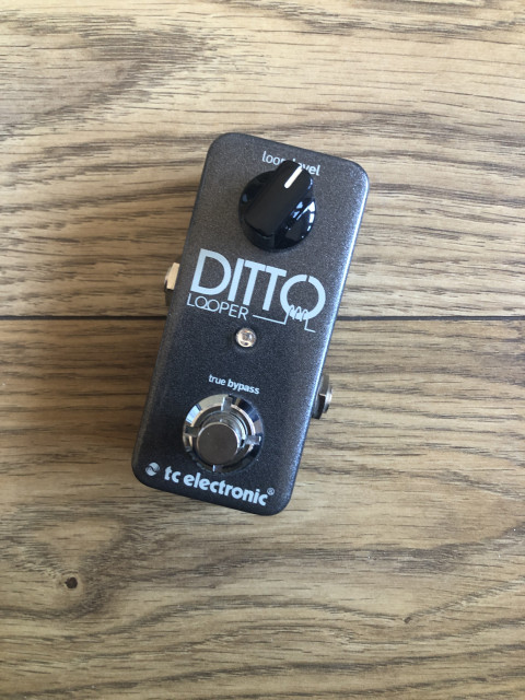 Ditto looper mini