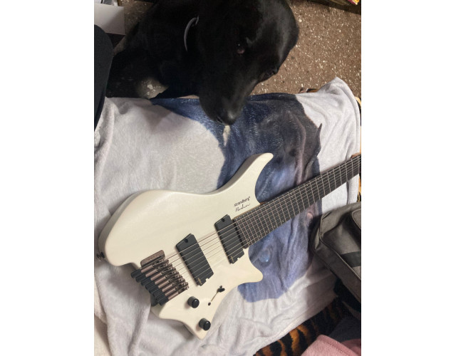 Strandberg 8 cuerdas (Perrita no incluida)