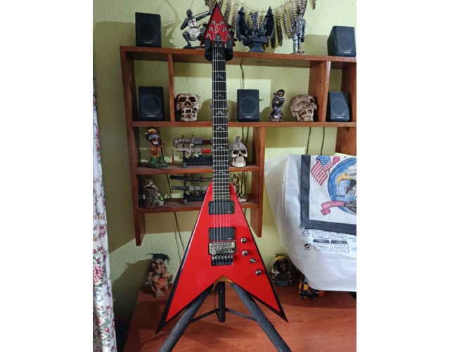 Riley Arrow custom