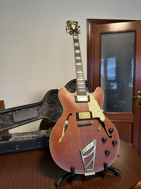 D'Angelico Deluxe DC, edición limitada numero 12 de 50.