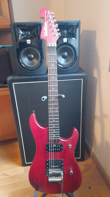 Washburn N2 Padauk