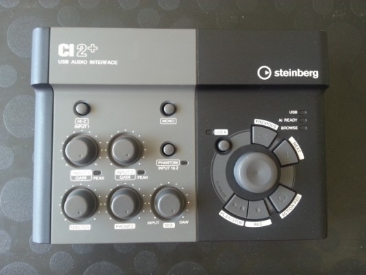 o Cambio Tarjeta de Sonido / Audio Interface Steinberg CI2+ USB