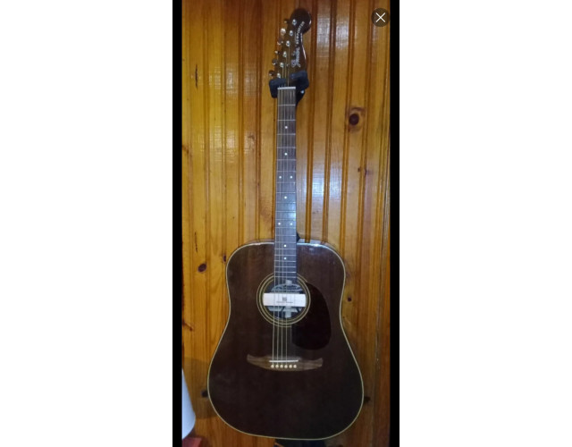 Fender newporter