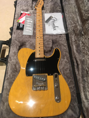 Fender Telecaster American profesional Ash