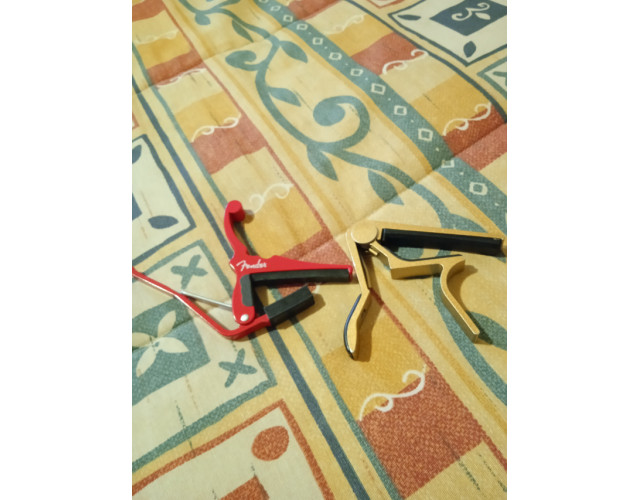 capo fender y capo nisu.
