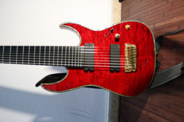 Guitarra de 8 cuerdas Ibanez RGIX28FEQM