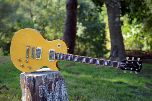 Gibson Les Paul Standard Natural (1976)