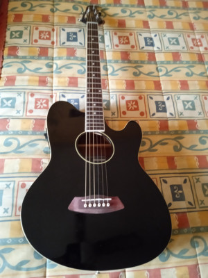 ibanez Talman TCY-10.