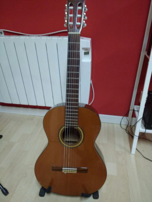 Guitarra Alhambra C3