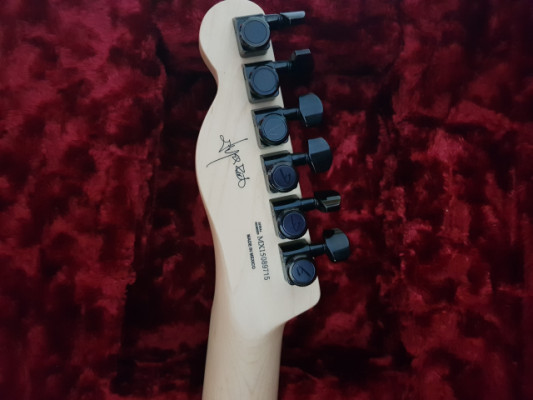 Fender Telecaster Jim Root signature
