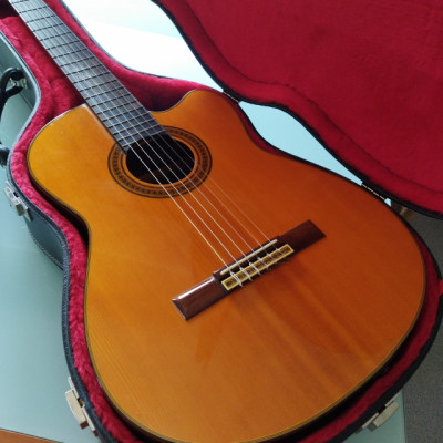 Vendo o cambio, Guitarra Electro- Clásica Epiphone C70CE