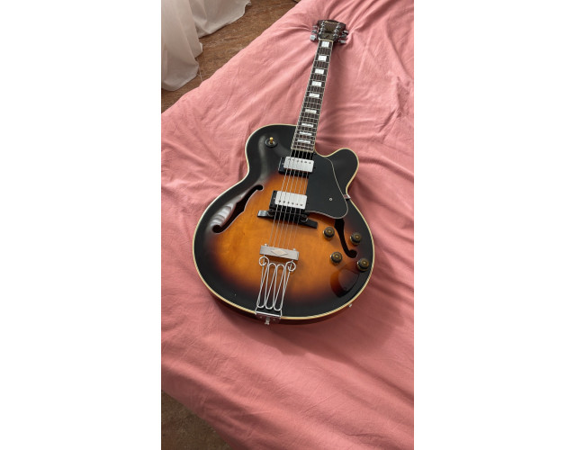 Ibanez FG-100 BS