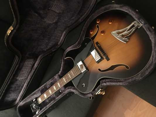 Guitarra jazz Washburn J3 con estuche