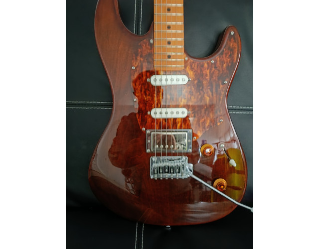 Godin Session T-Pro Ltd Kanyon Burst Mn