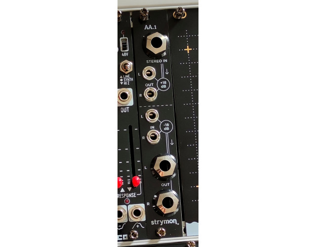 Strymon AA.1 Módulo de Eurorack