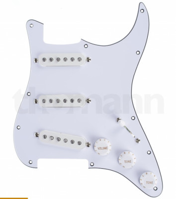 Golpeador completo Fender Stratocaster American standard