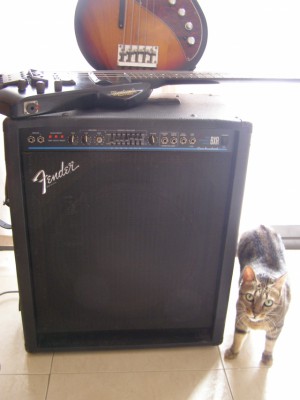 Amplificador Fender BXR100 made in USA