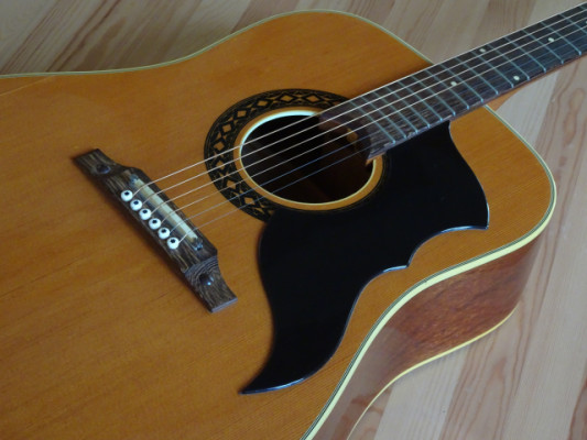 Acústica Eko Ranger, ajustada y puesta a punto en luthier