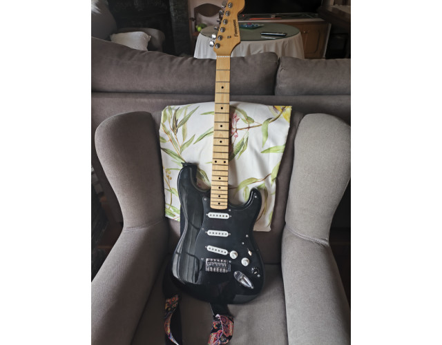 Fernandes Stratocaster LE Series. Radio 12