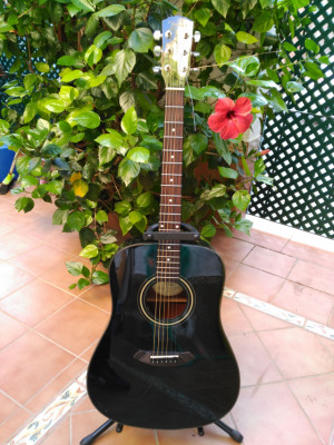 Acústica Fender DG-5