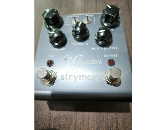 Strymon el capistan echo