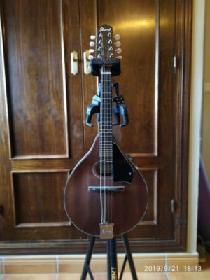 Mandolina Ibanez M-615