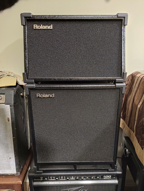 ROLAND SA 300