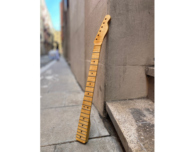Neck Telecaster